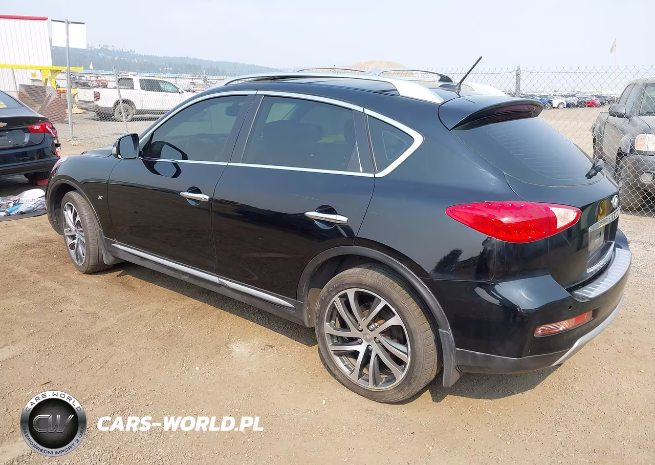 2016 Infiniti Qx50 VIN:JN1BJ0RR1GM270321 - 3