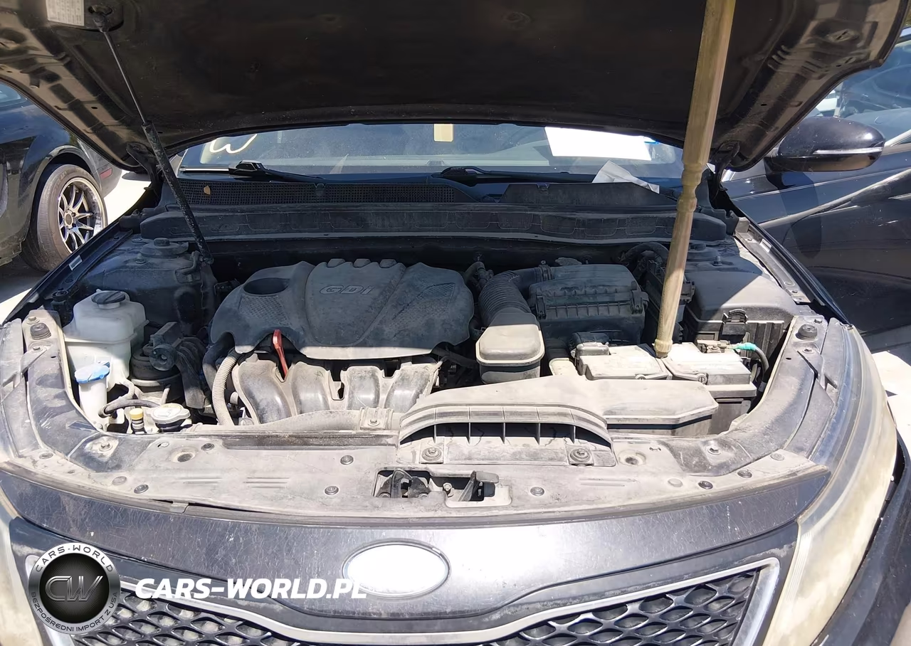 2014 Kia Optima Ex VIN:5XXGN4A77EG332364 - 10