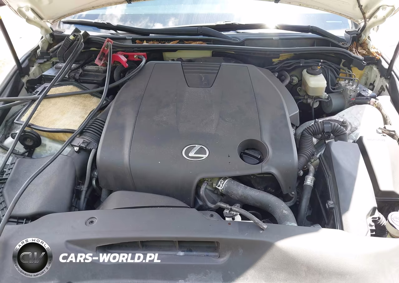 2014 Lexus Is 250 VIN:JTHBF1D29E5002797 - 10