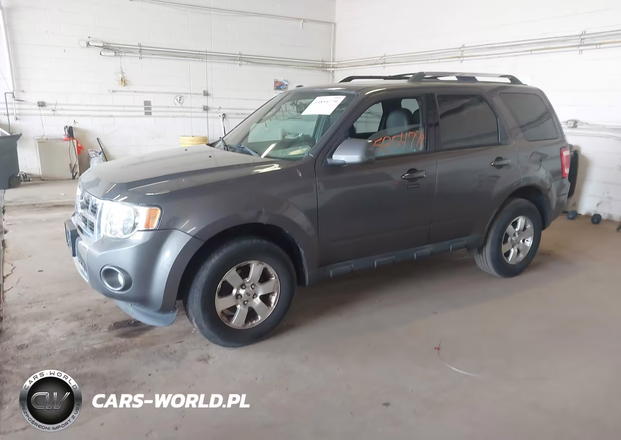 2011 Ford Escape Limited VIN:1FMCU9EG4BKC49173 - 2
