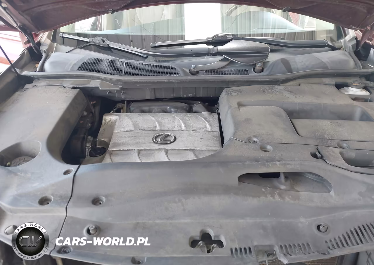 2013 Lexus Rx 350 VIN:JTJZK1BA3D2009795 - 10