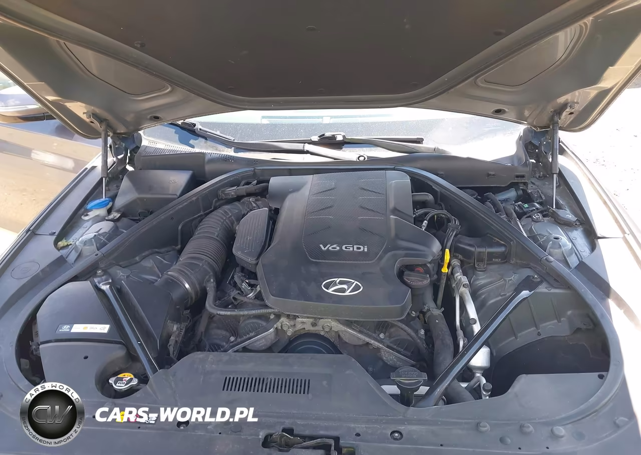 2015 Hyundai Genesis 3.8 VIN:KMHGN4JE4FU069112 - 10