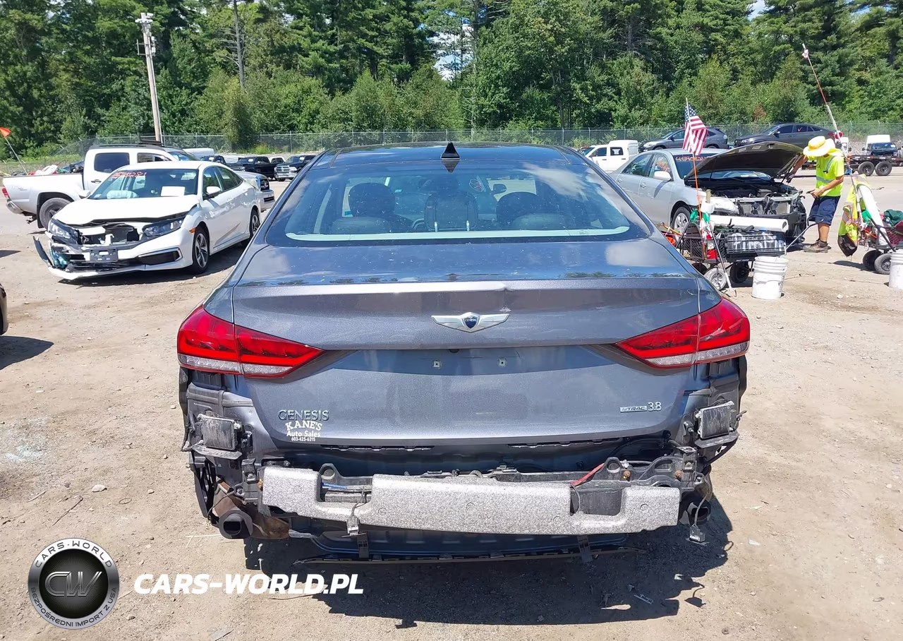 2015 Hyundai Genesis 3.8 VIN:KMHGN4JE4FU069112 - 17