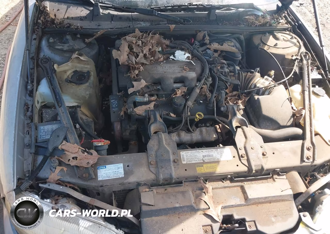 1996 Chevrolet Lumina VIN:2G1WL52M2T9287696 - 10