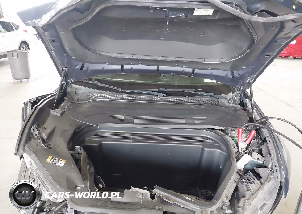 2021 Ford Mustang Mach-E Premium VIN:3FMTK3RM7MMA24325 - 10