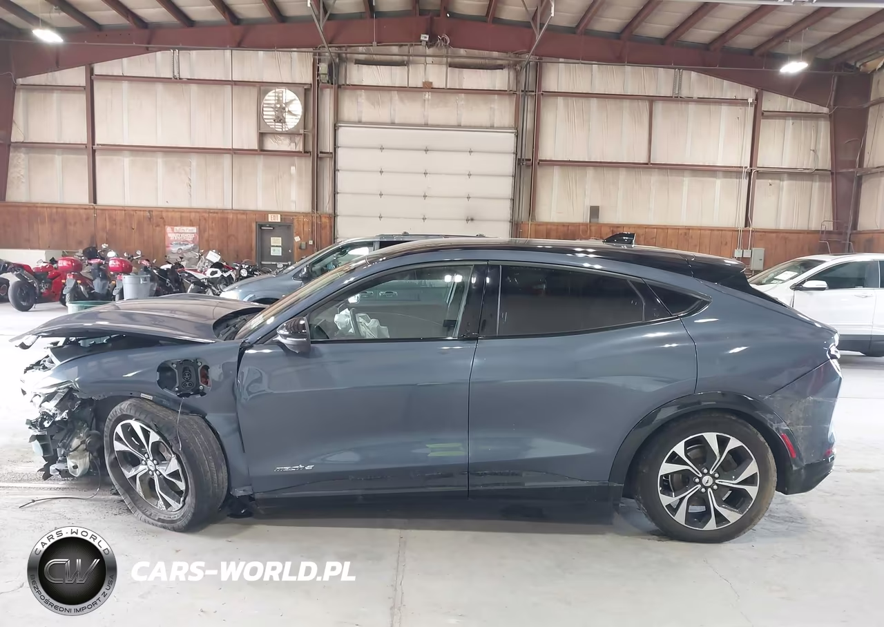 2021 Ford Mustang Mach-E Premium VIN:3FMTK3RM7MMA24325 - 15