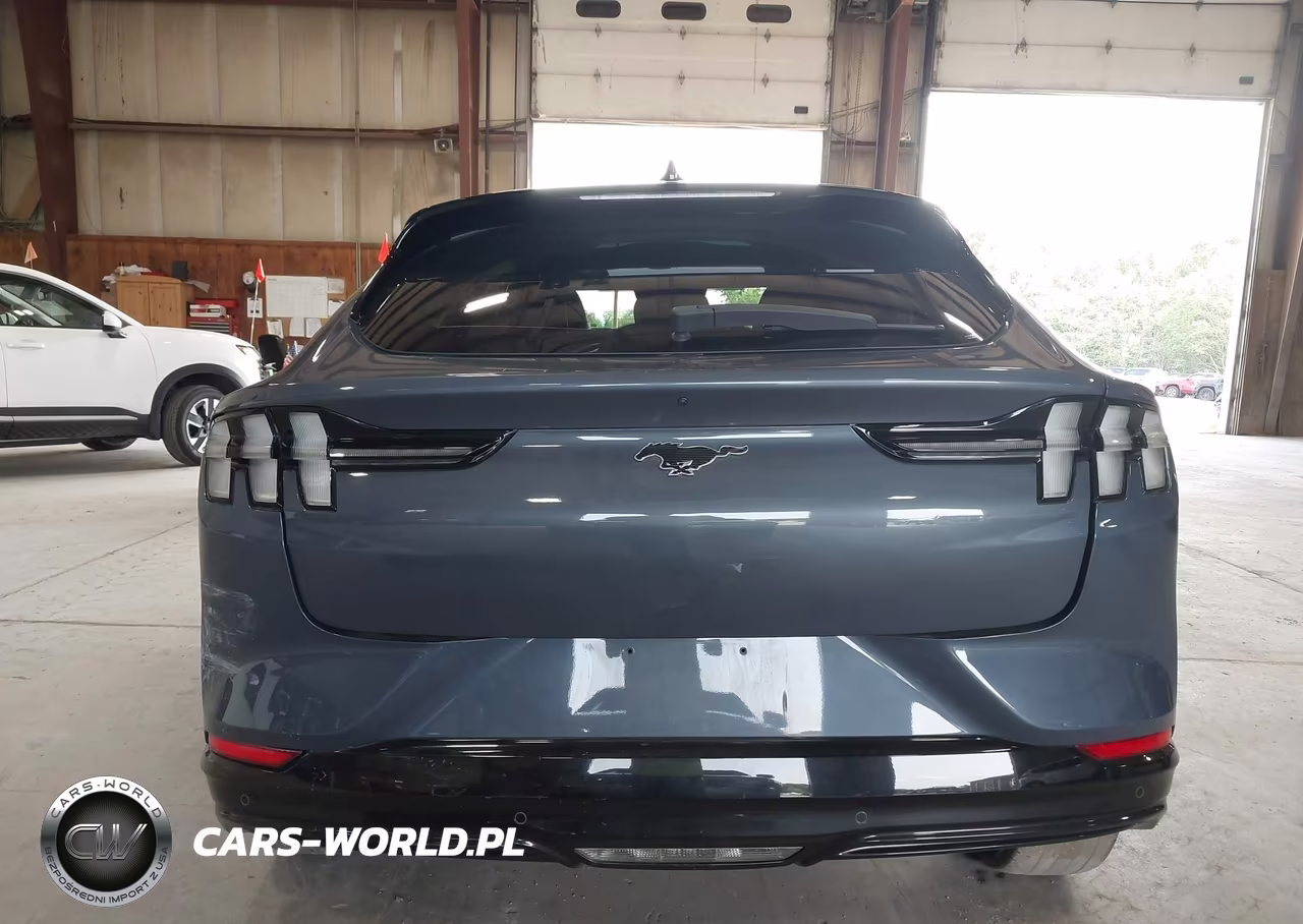 2021 Ford Mustang Mach-E Premium VIN:3FMTK3RM7MMA24325 - 17