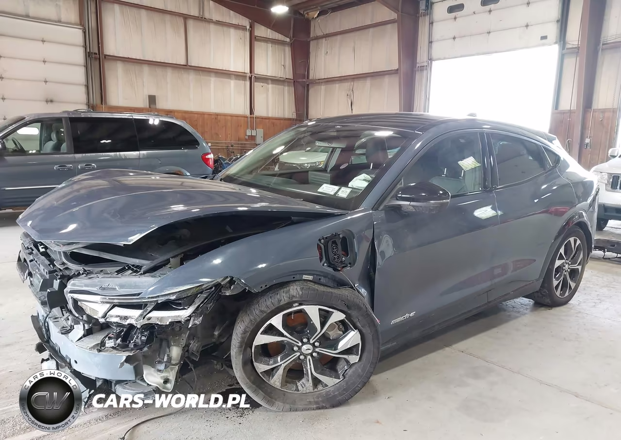 2021 Ford Mustang Mach-E Premium VIN:3FMTK3RM7MMA24325 - 2