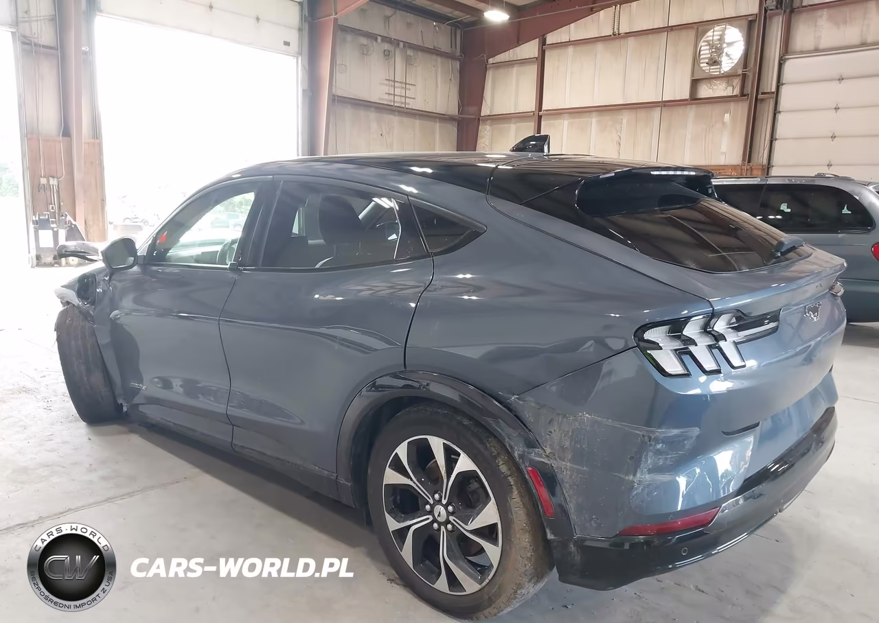 2021 Ford Mustang Mach-E Premium VIN:3FMTK3RM7MMA24325 - 3