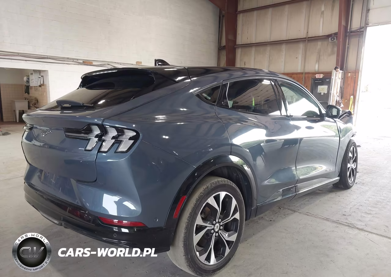 2021 Ford Mustang Mach-E Premium VIN:3FMTK3RM7MMA24325 - 4