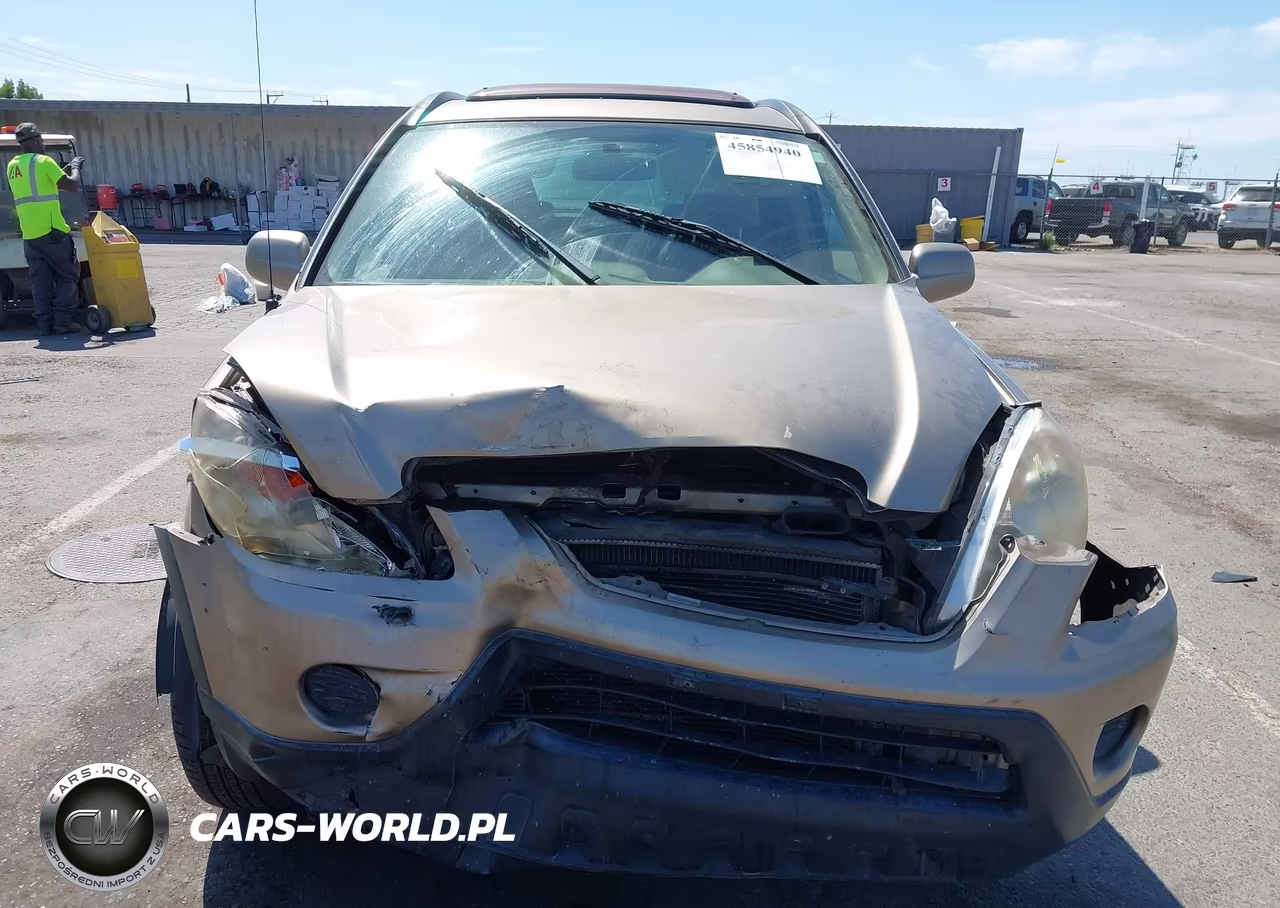 2006 Honda Cr-V Se VIN:JHLRD78946C050269 - 12