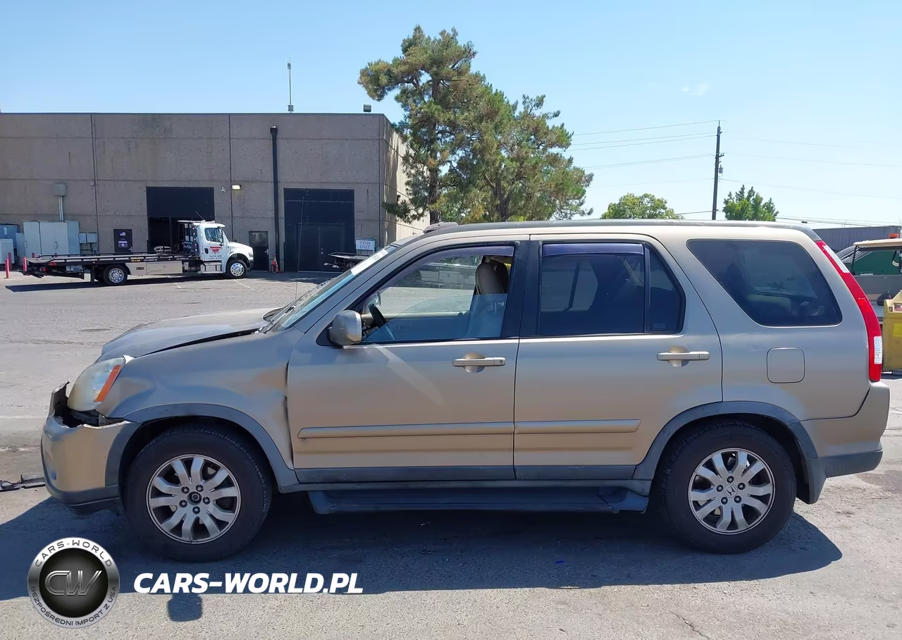 2006 Honda Cr-V Se VIN:JHLRD78946C050269 - 14