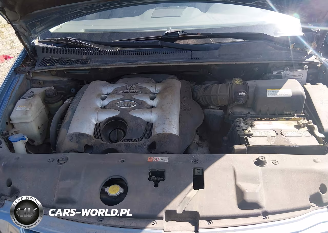 2006 Kia Sedona Ex-Lx VIN:KNDMB233766031720 - 10