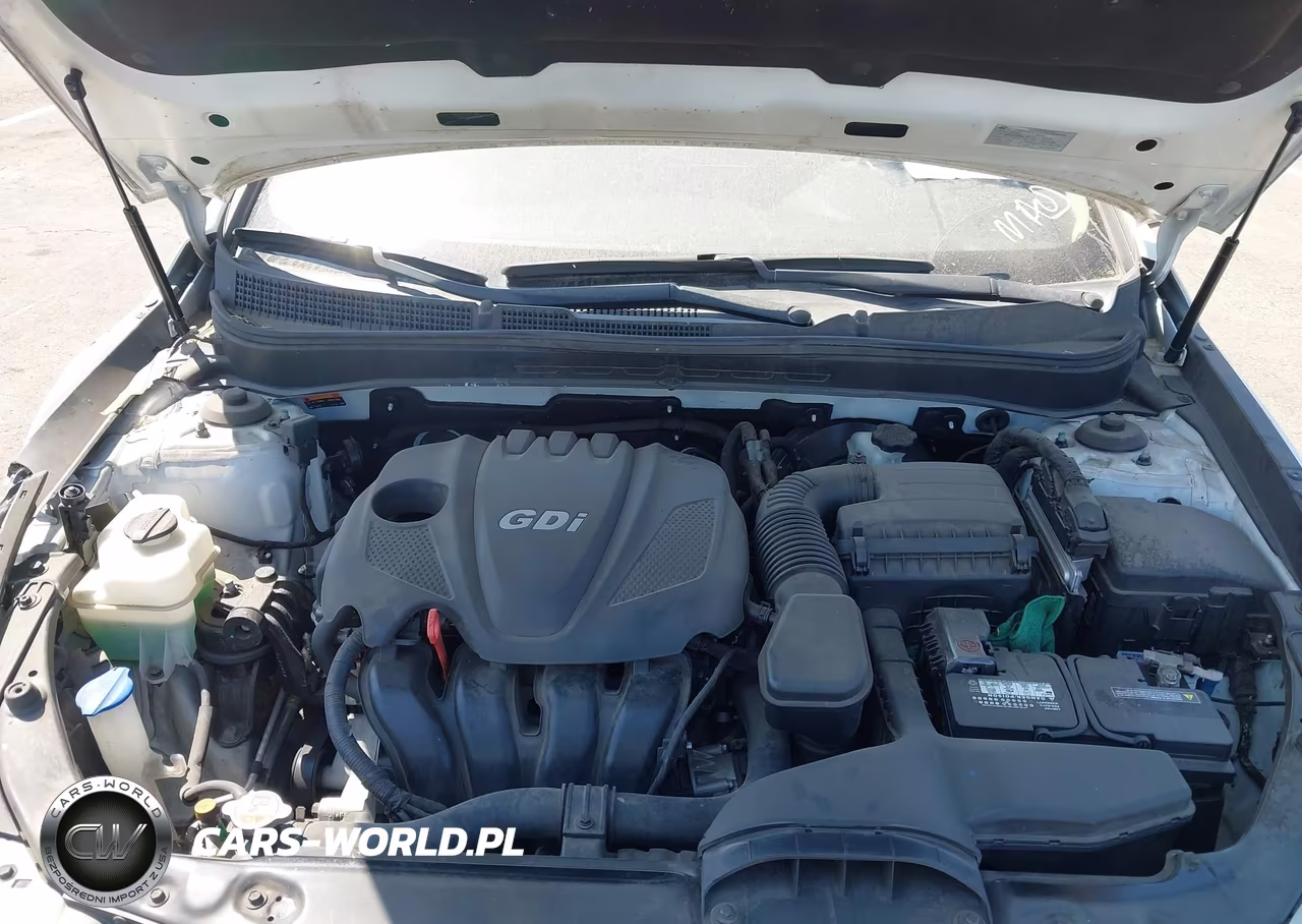 2014 Hyundai Sonata Gls VIN:5NPEB4AC3EH843006 - 10
