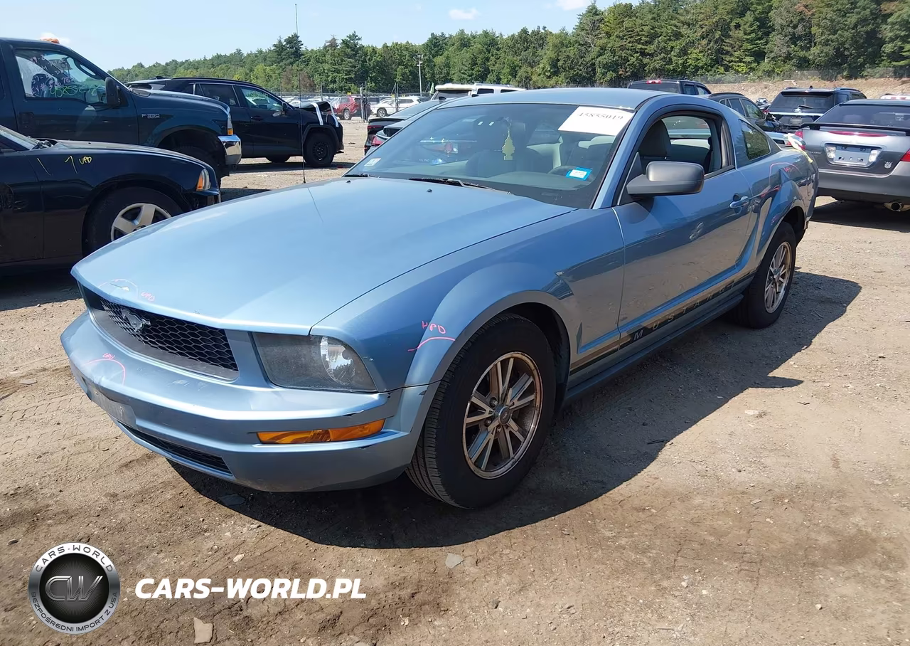 2005 Ford Mustang V6 Deluxe-V6 Premium VIN:1ZVFT80N055116480 - 2