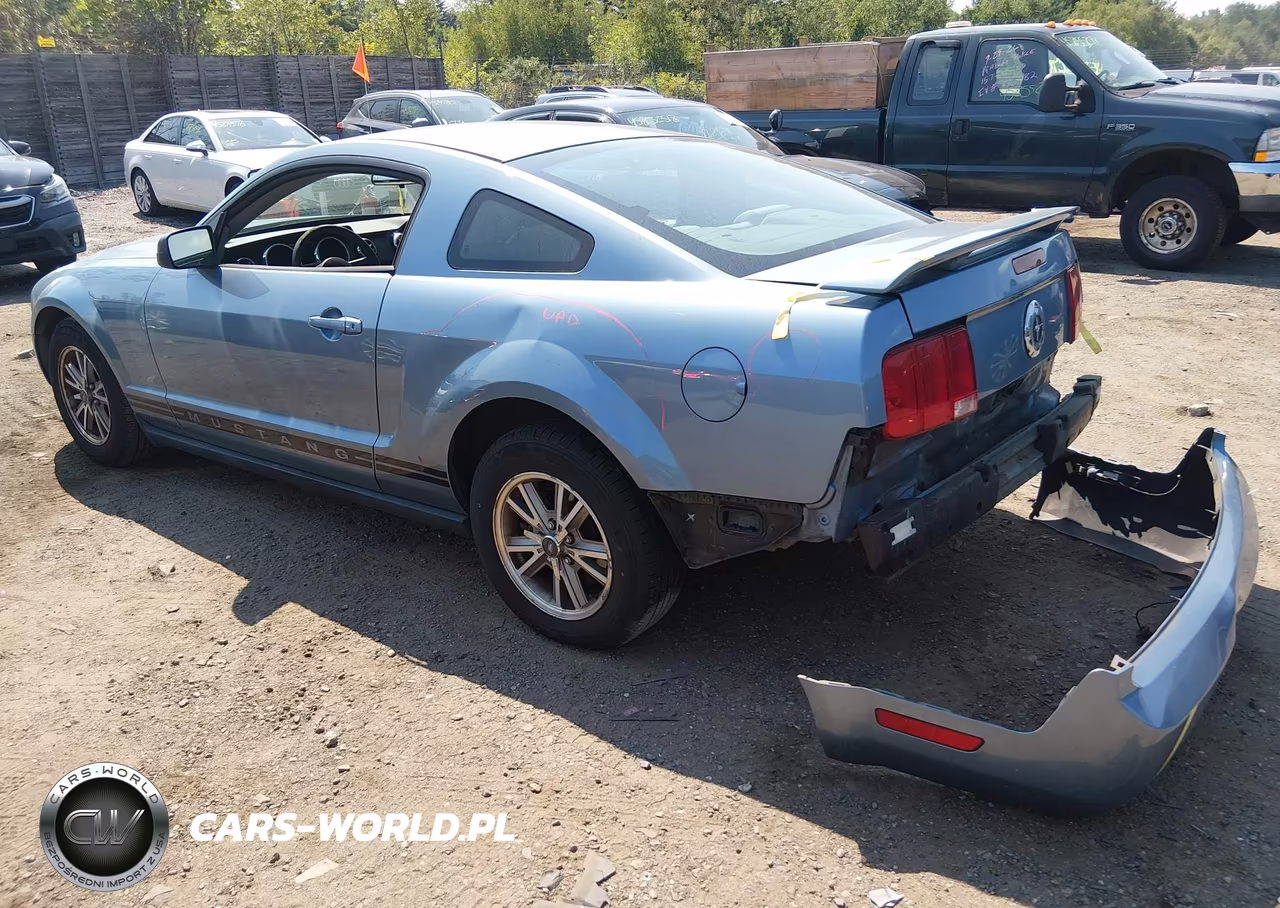 2005 Ford Mustang V6 Deluxe-V6 Premium VIN:1ZVFT80N055116480 - 3