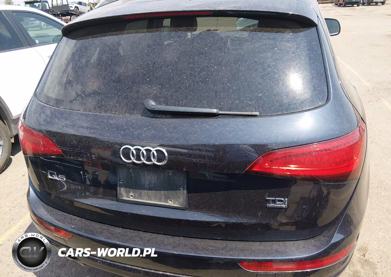 2014 Audi Q5 3.0 Tdi Premium Plus VIN:WA1CMAFP8EA083426 - 17