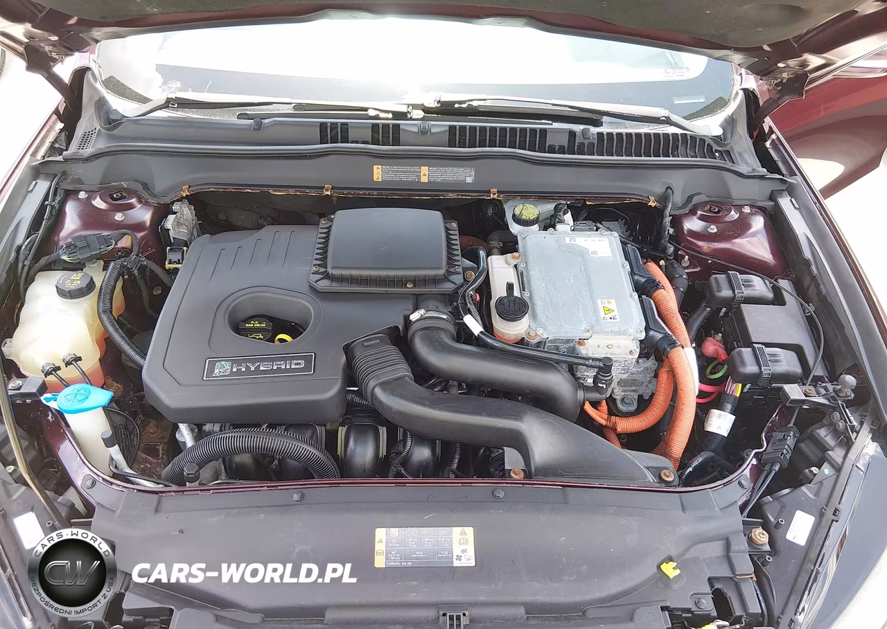 2013 Ford Fusion Hybrid Se VIN:3FA6P0LU8DR137123 - 10