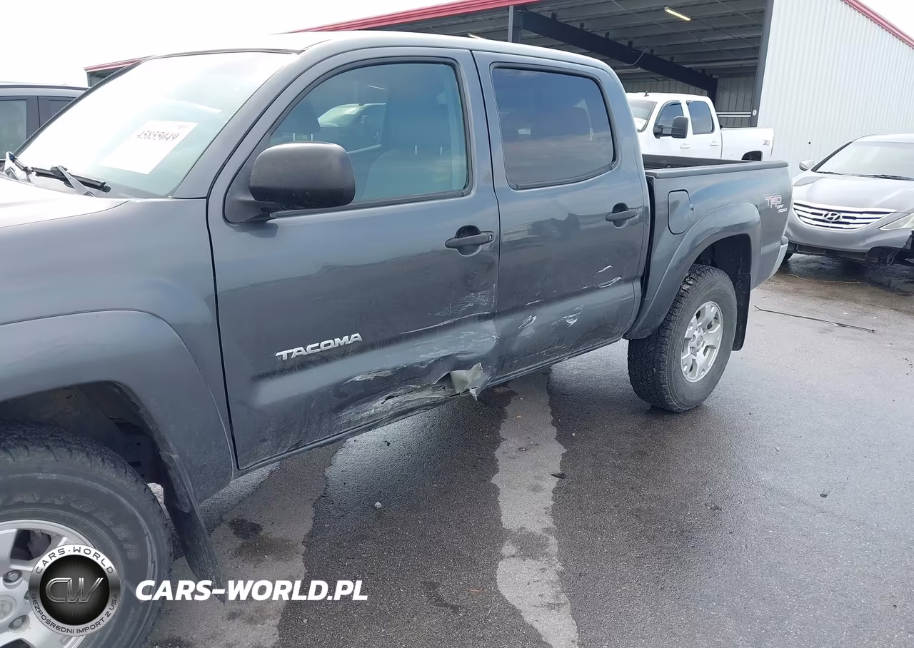 2009 Toyota Tacoma Base V6 VIN:3TMLU42N99M034160 - 6