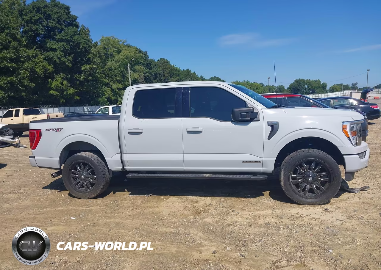 2023 Ford F-150 Xlt VIN:1FTFW1ED2PFC86631 - 13