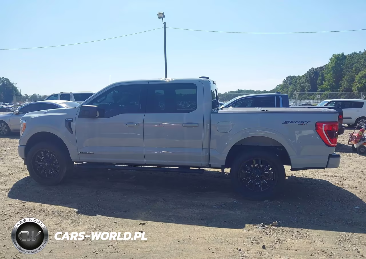 2023 Ford F-150 Xlt VIN:1FTFW1ED2PFC86631 - 14