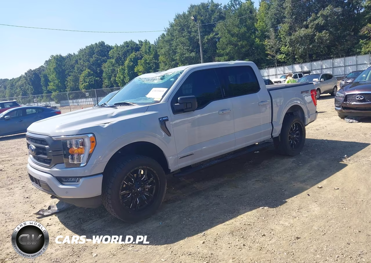 2023 Ford F-150 Xlt VIN:1FTFW1ED2PFC86631 - 2