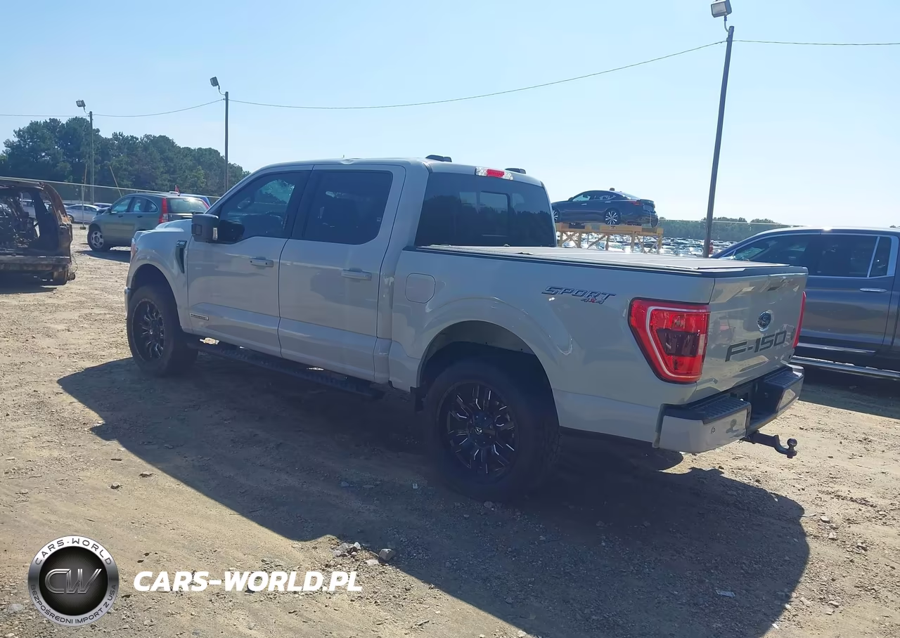 2023 Ford F-150 Xlt VIN:1FTFW1ED2PFC86631 - 3