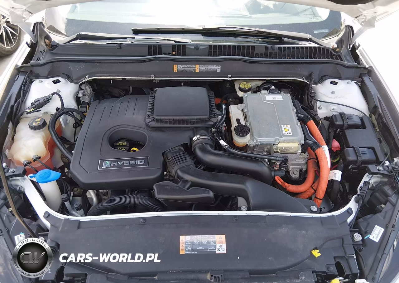 2014 Ford Fusion Hybrid Se VIN:3FA6P0LU0ER114484 - 10