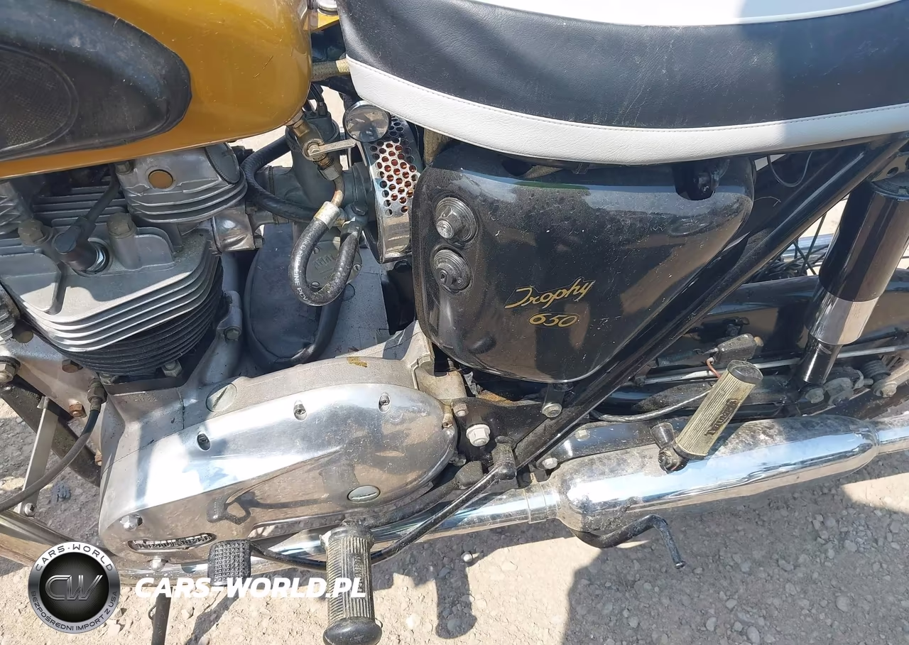 1965 Triumph Motorcycle VIN:TR6SRDU22388 - 10