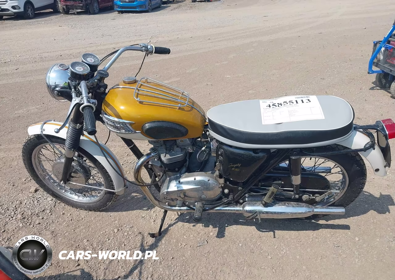 1965 Triumph Motorcycle VIN:TR6SRDU22388 - 14