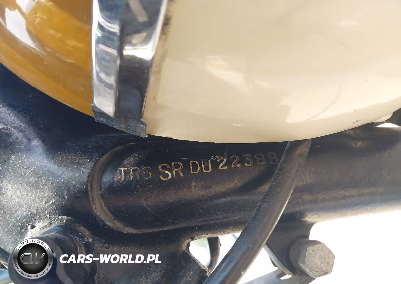1965 Triumph Motorcycle VIN:TR6SRDU22388 - 9