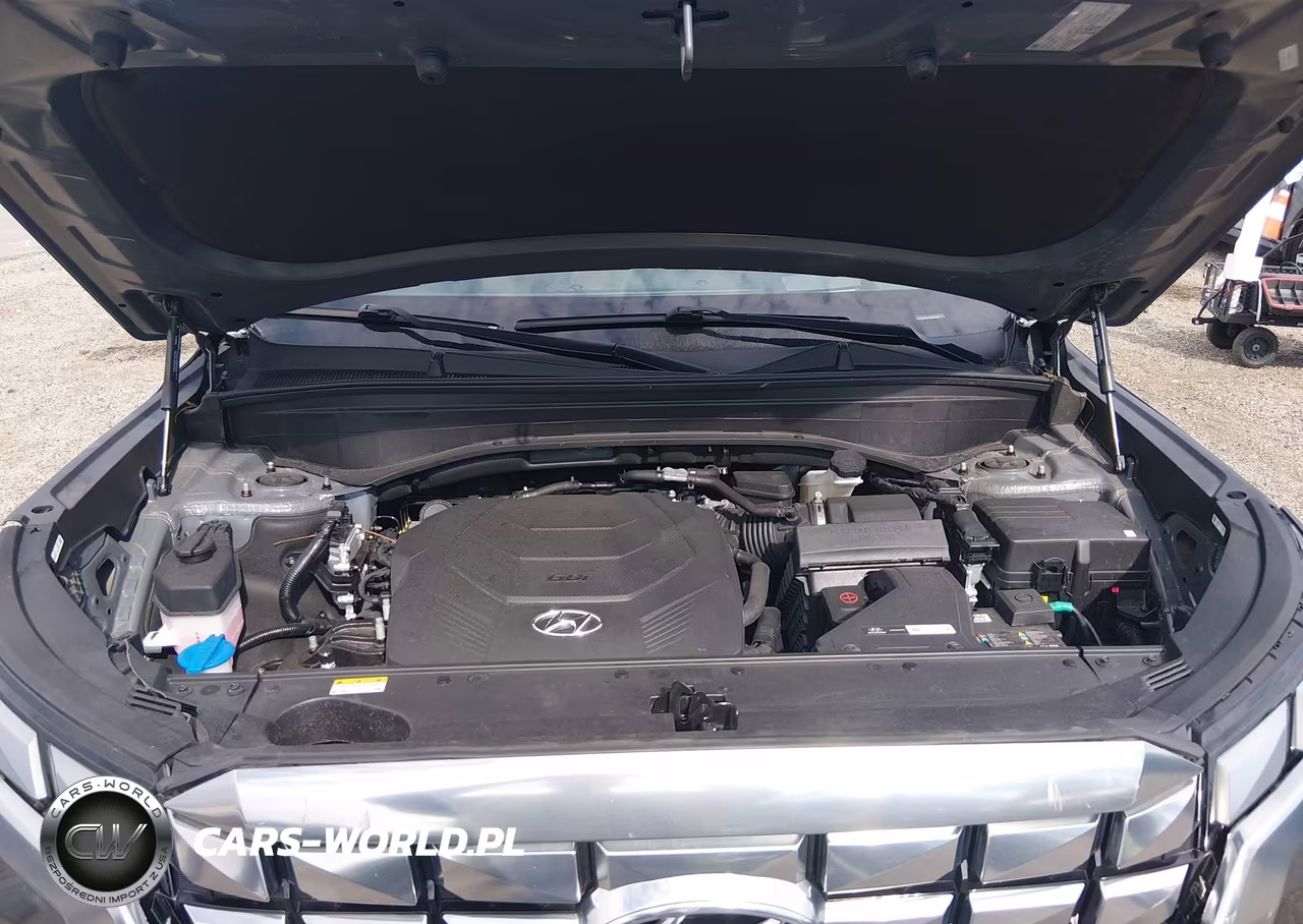 2024 Hyundai Palisade Calligraphy VIN:KM8R7DGE5RU767517 - 10