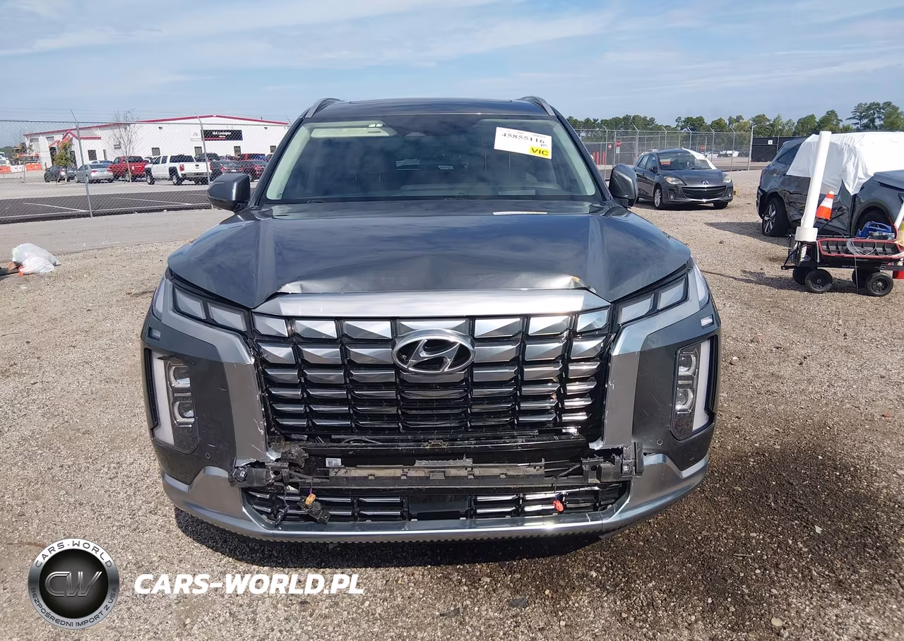 2024 Hyundai Palisade Calligraphy VIN:KM8R7DGE5RU767517 - 12