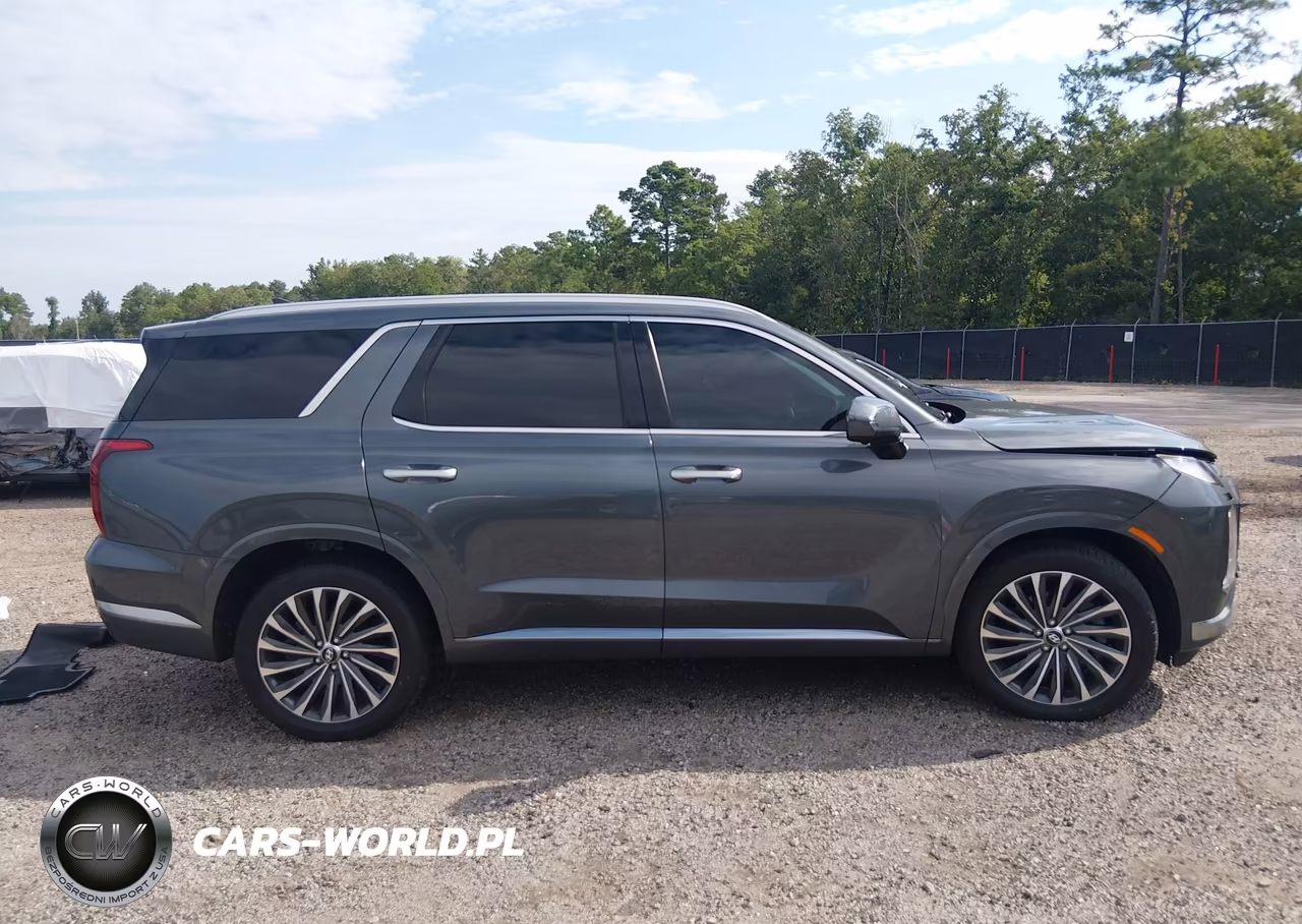 2024 Hyundai Palisade Calligraphy VIN:KM8R7DGE5RU767517 - 13