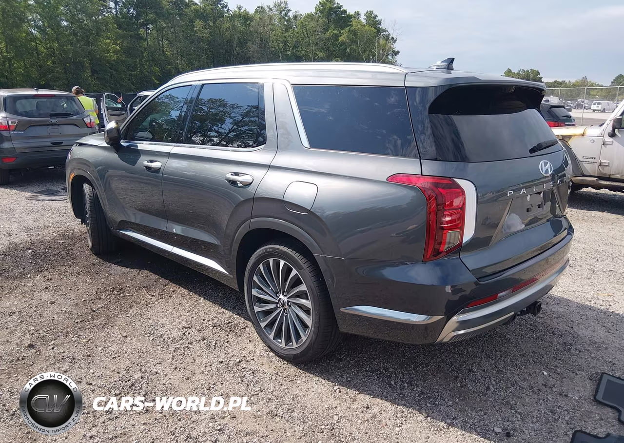 2024 Hyundai Palisade Calligraphy VIN:KM8R7DGE5RU767517 - 3
