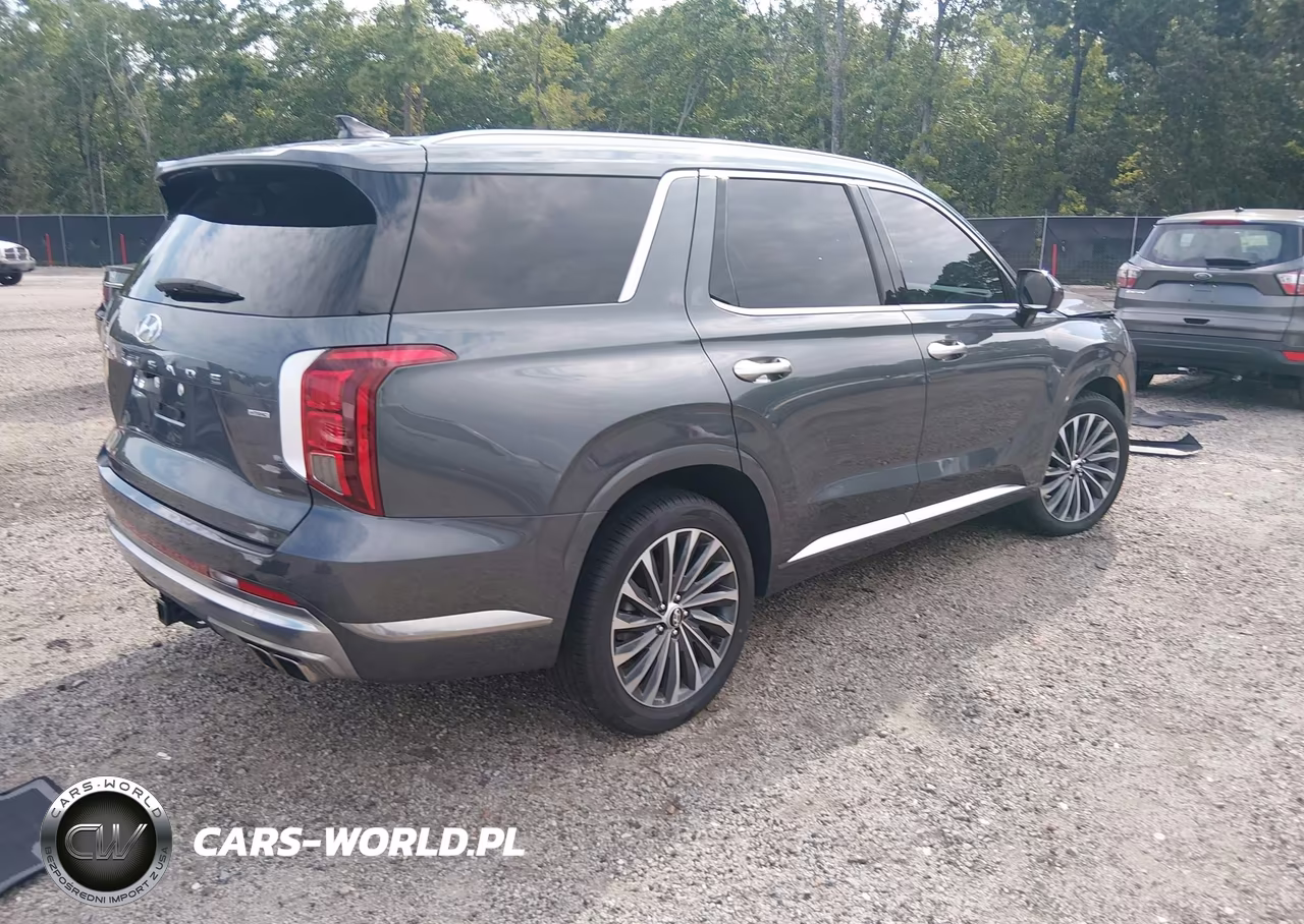 2024 Hyundai Palisade Calligraphy VIN:KM8R7DGE5RU767517 - 4