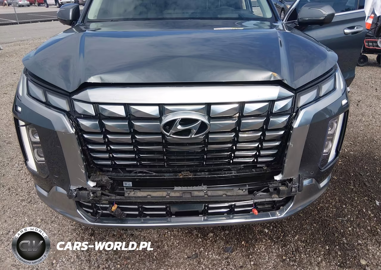 2024 Hyundai Palisade Calligraphy VIN:KM8R7DGE5RU767517 - 6