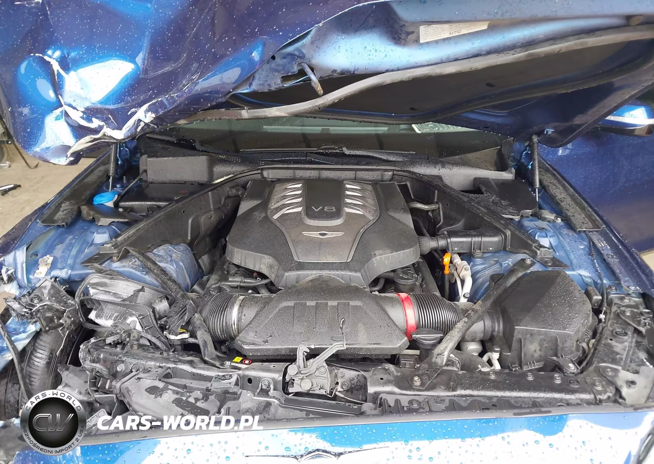 2017 Genesis G80 5.0 Ultimate VIN:KMHGN4JF8HU198367 - 10