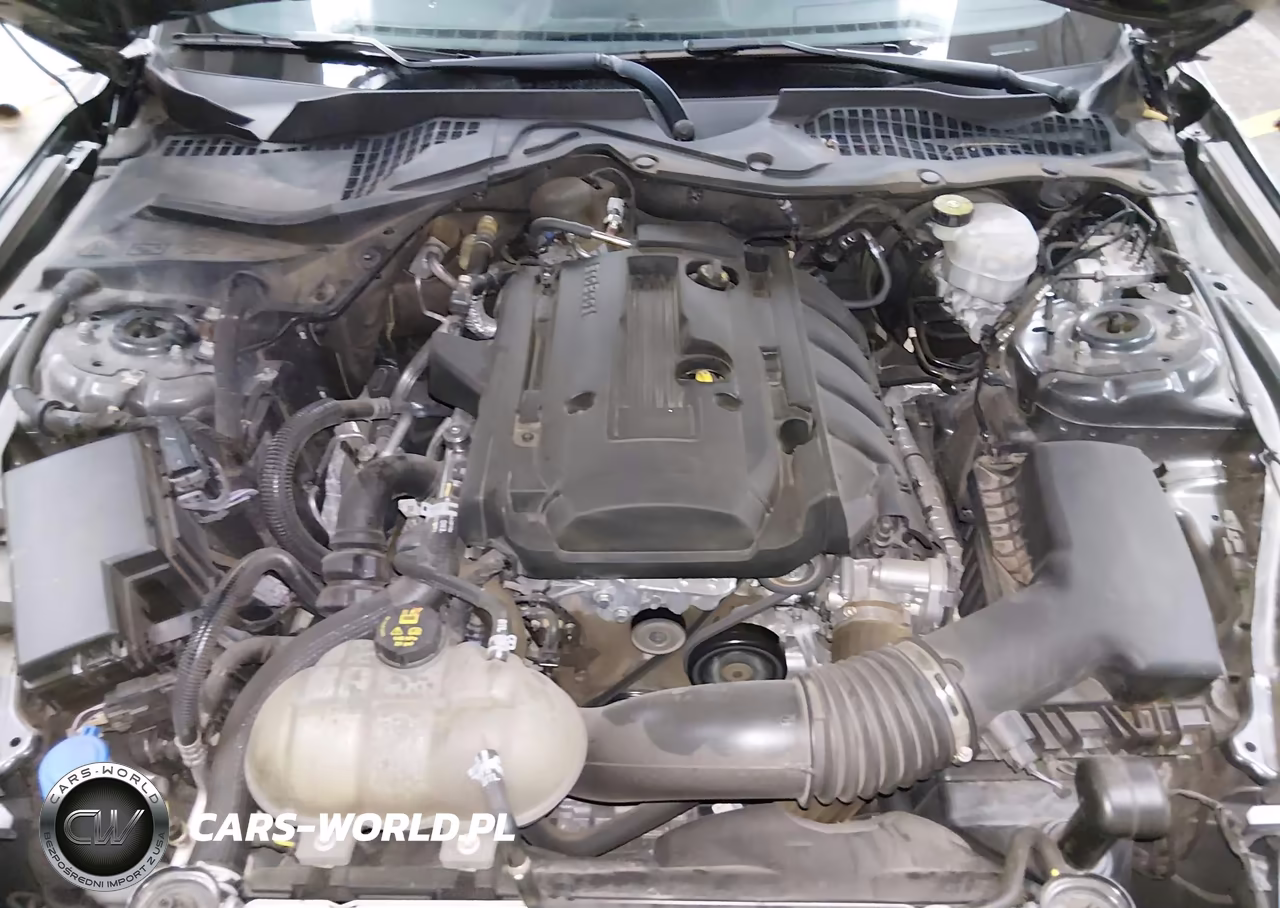 2020 Ford Mustang Ecoboost Fastback VIN:1FA6P8TH4L5173443 - 10