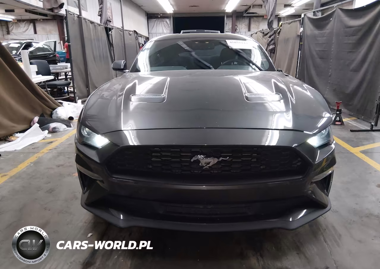 2020 Ford Mustang Ecoboost Fastback VIN:1FA6P8TH4L5173443 - 12