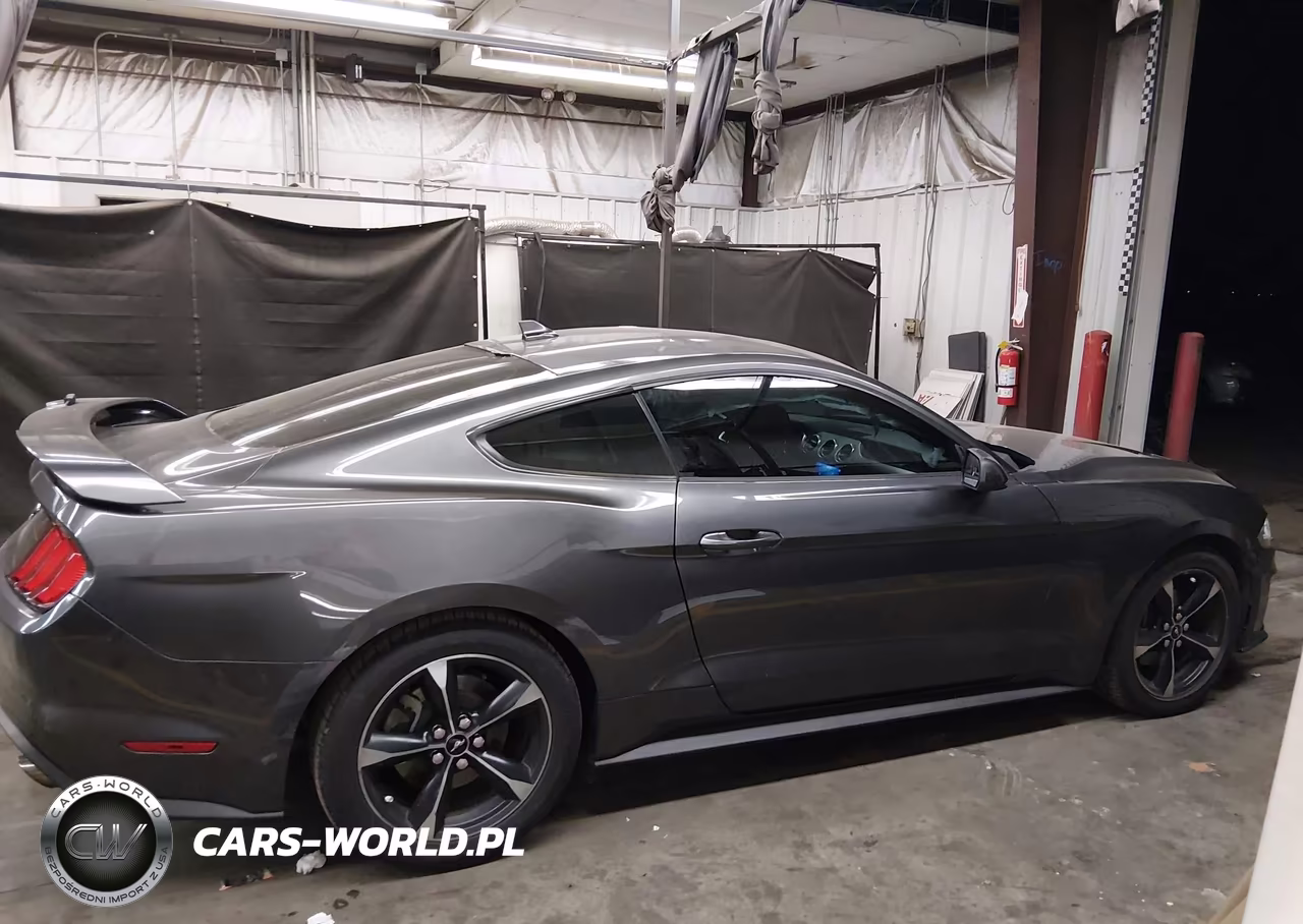 2020 Ford Mustang Ecoboost Fastback VIN:1FA6P8TH4L5173443 - 13