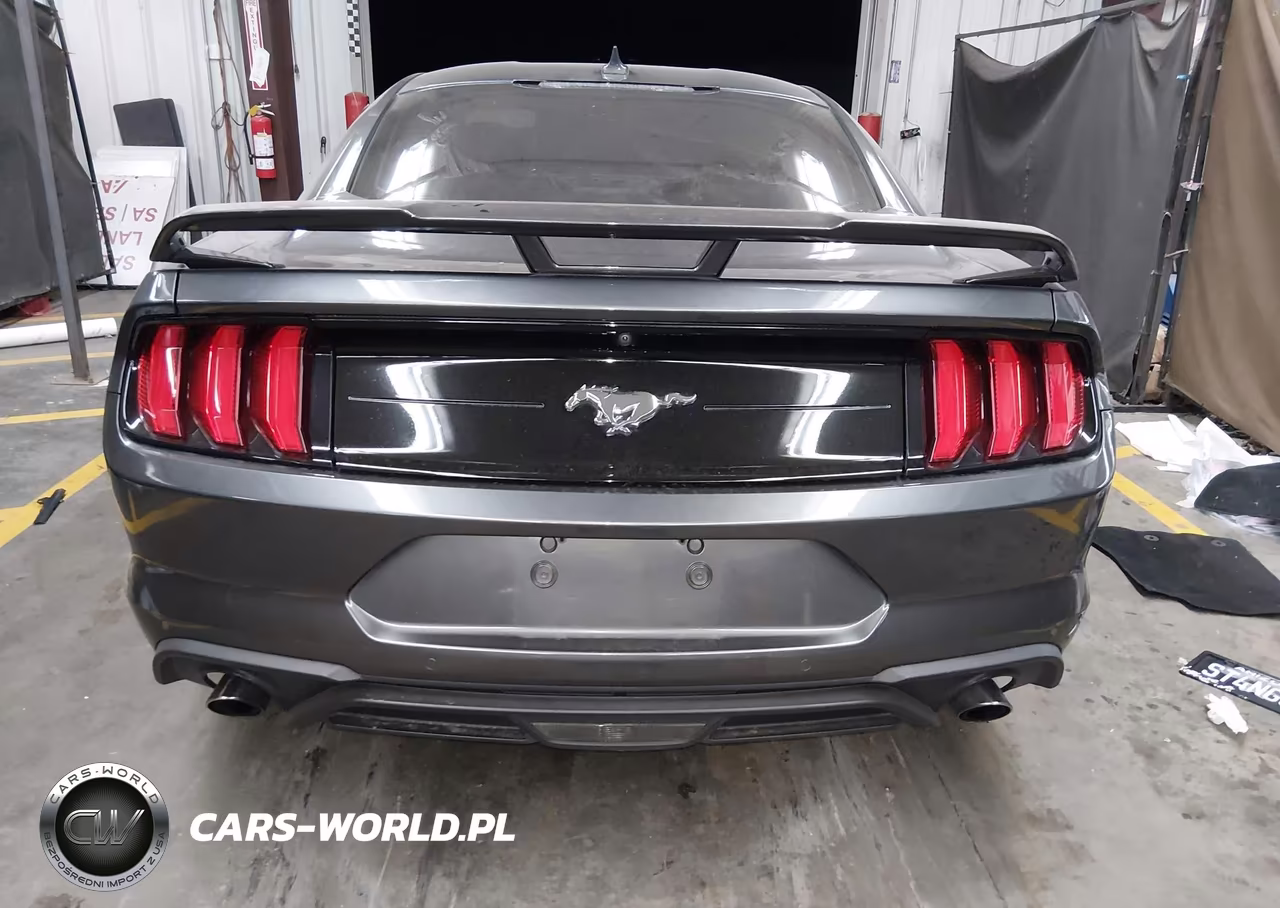 2020 Ford Mustang Ecoboost Fastback VIN:1FA6P8TH4L5173443 - 16