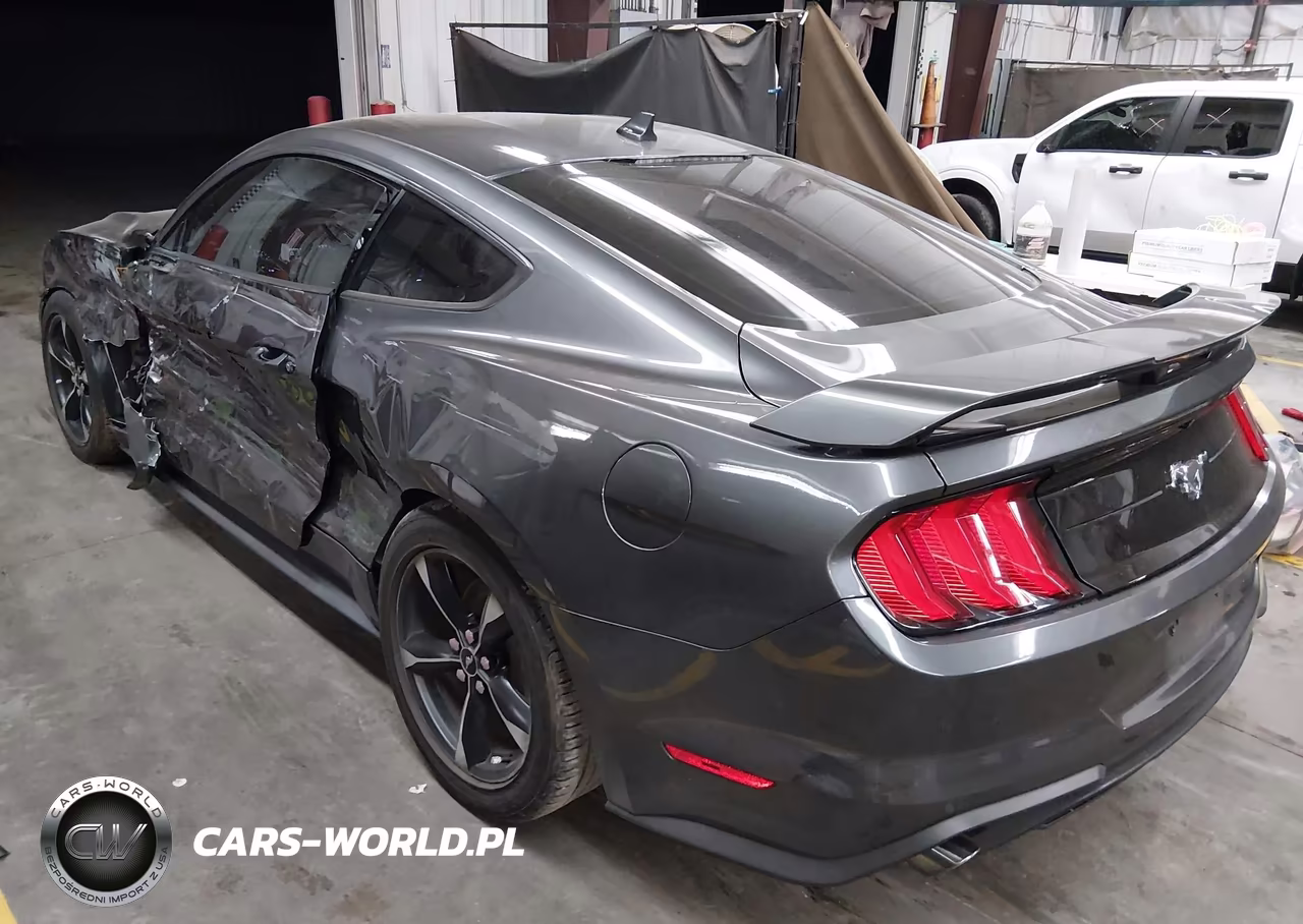 2020 Ford Mustang Ecoboost Fastback VIN:1FA6P8TH4L5173443 - 3