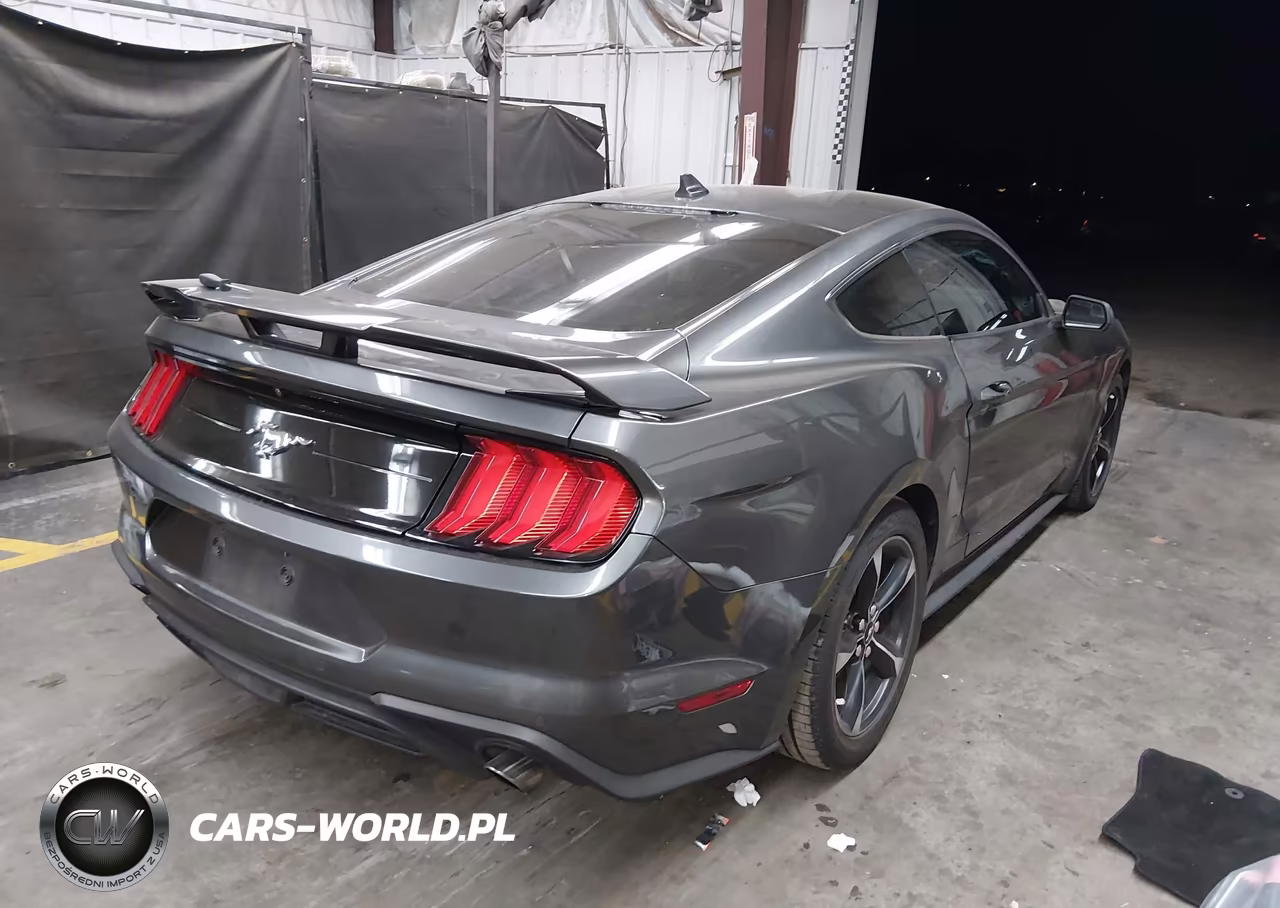 2020 Ford Mustang Ecoboost Fastback VIN:1FA6P8TH4L5173443 - 4