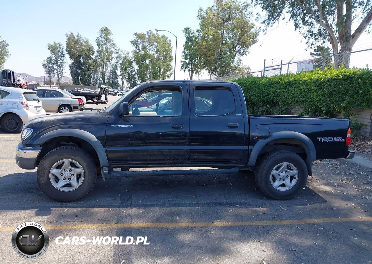 2004 Toyota Tacoma Prerunner V6 VIN:5TEGN92N64Z446933 - 18