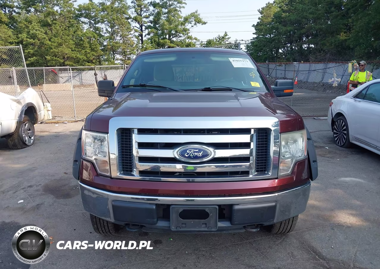 2010 Ford F-150 Stx-Xl-Xlt VIN:1FTEX1E84AFA90418 - 13