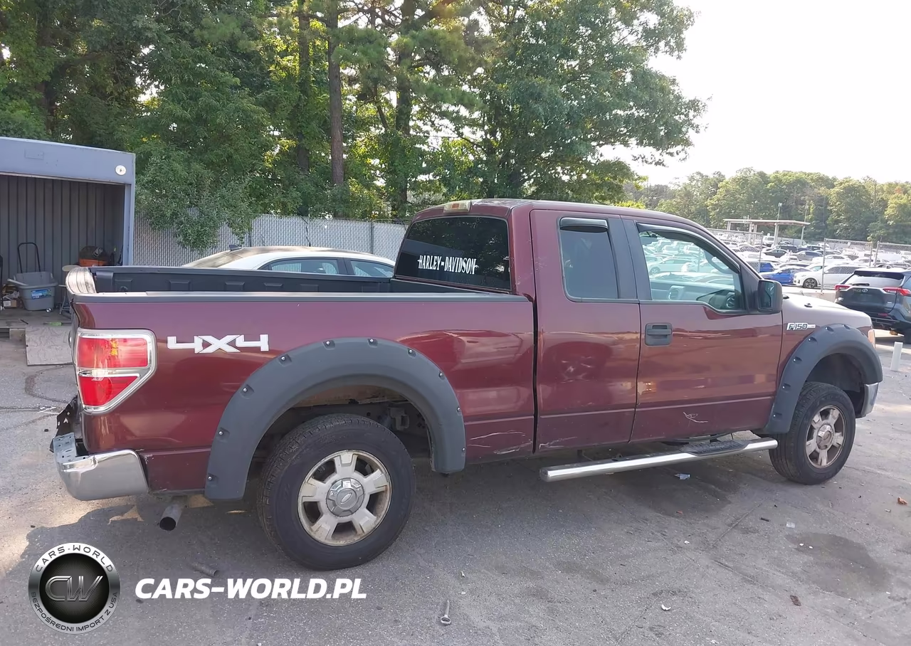 2010 Ford F-150 Stx-Xl-Xlt VIN:1FTEX1E84AFA90418 - 14