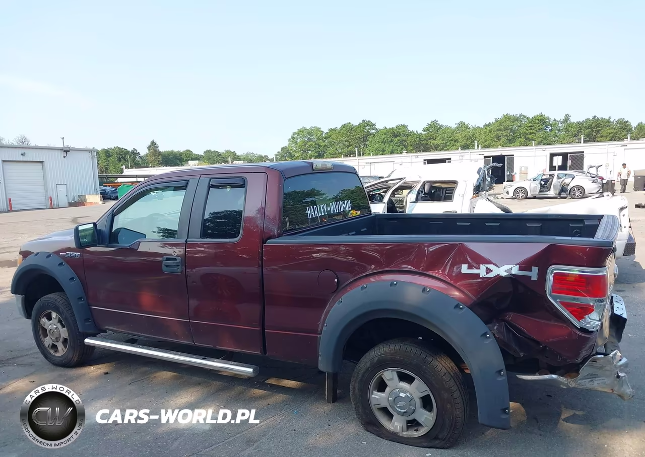 2010 Ford F-150 Stx-Xl-Xlt VIN:1FTEX1E84AFA90418 - 15