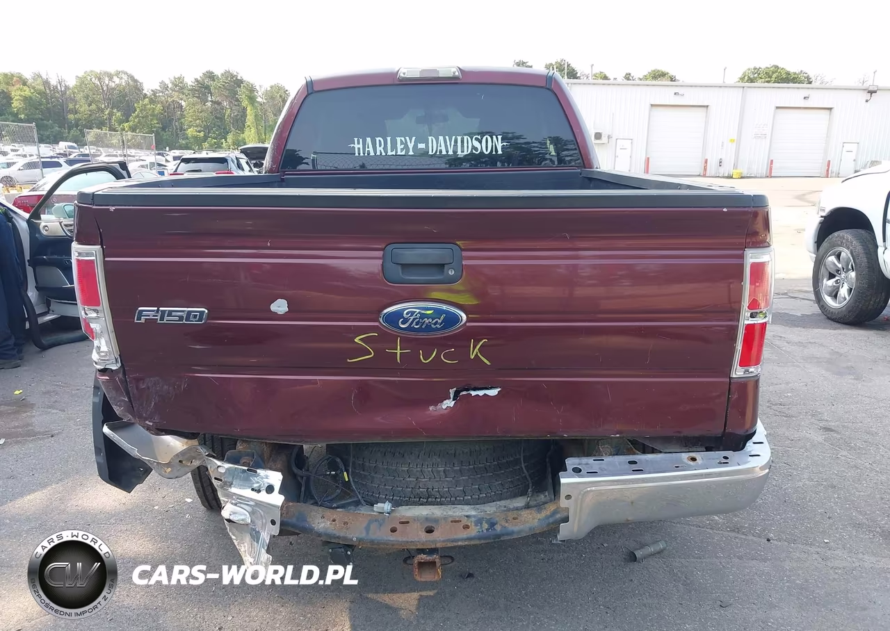 2010 Ford F-150 Stx-Xl-Xlt VIN:1FTEX1E84AFA90418 - 17