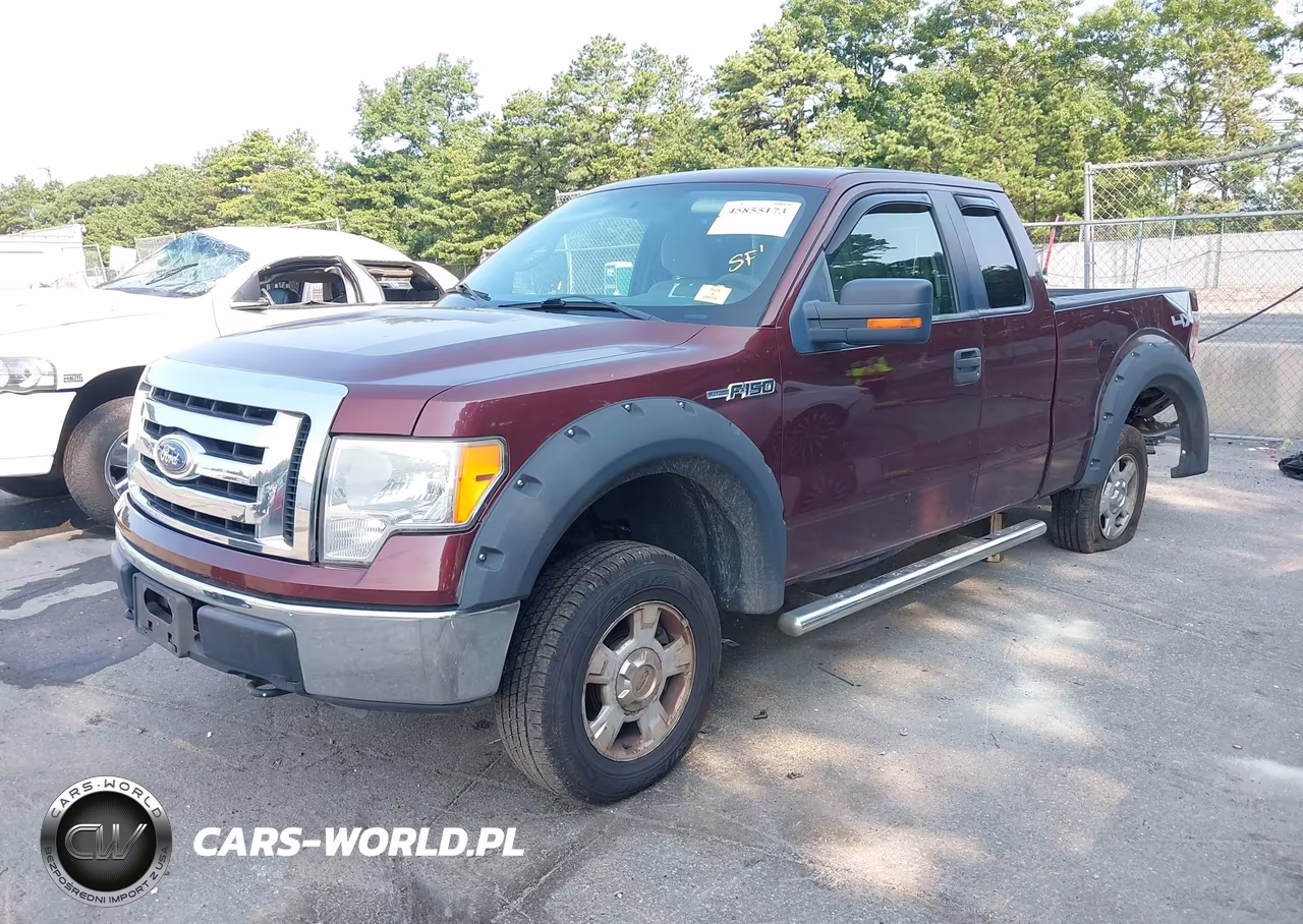2010 Ford F-150 Stx-Xl-Xlt VIN:1FTEX1E84AFA90418 - 2